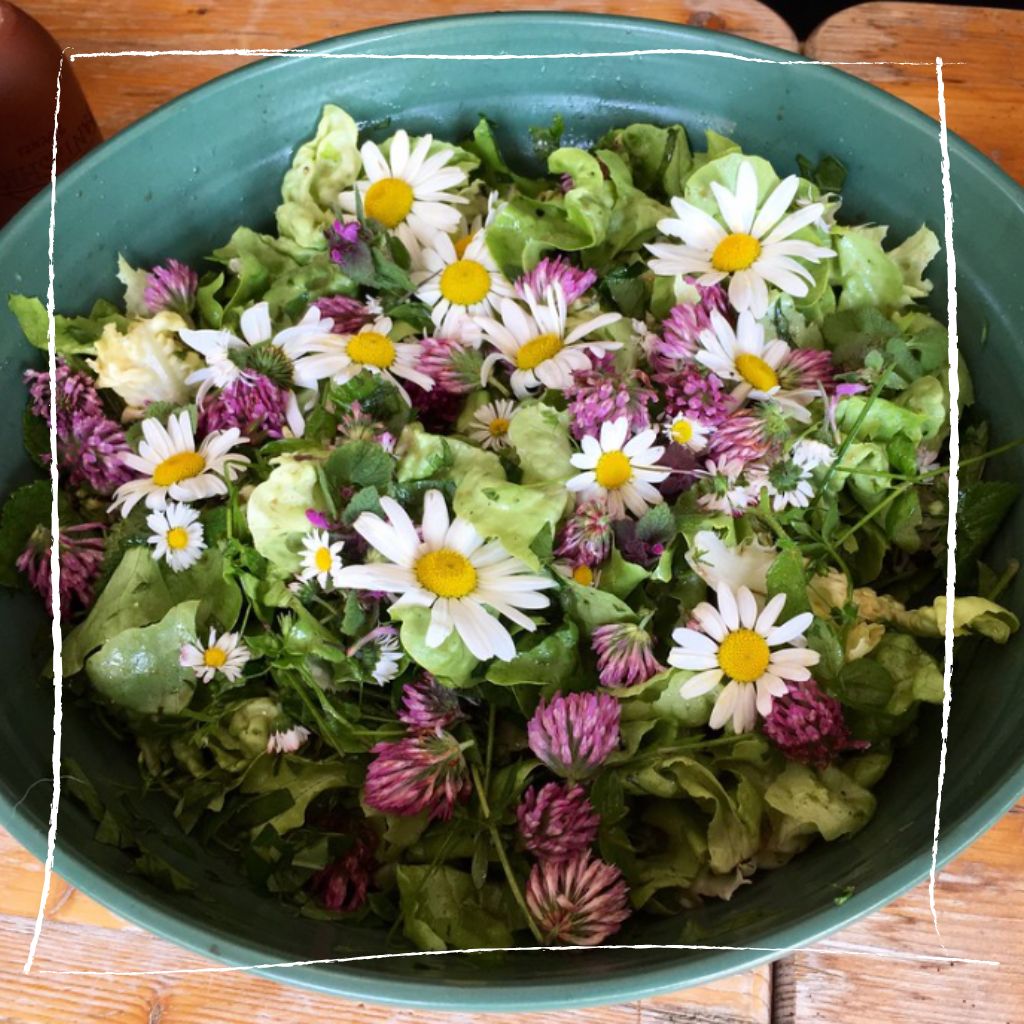 Frischer Salat mit Ackersenf-Blättern, bunten Tomaten und gerösteten Kernen
