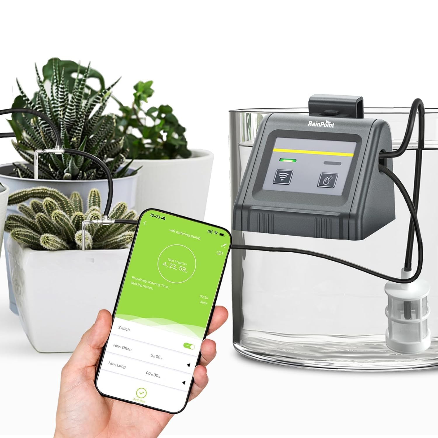 RAINPOINT WiFi Smart Bewässerungssystem für Kräuter 2025