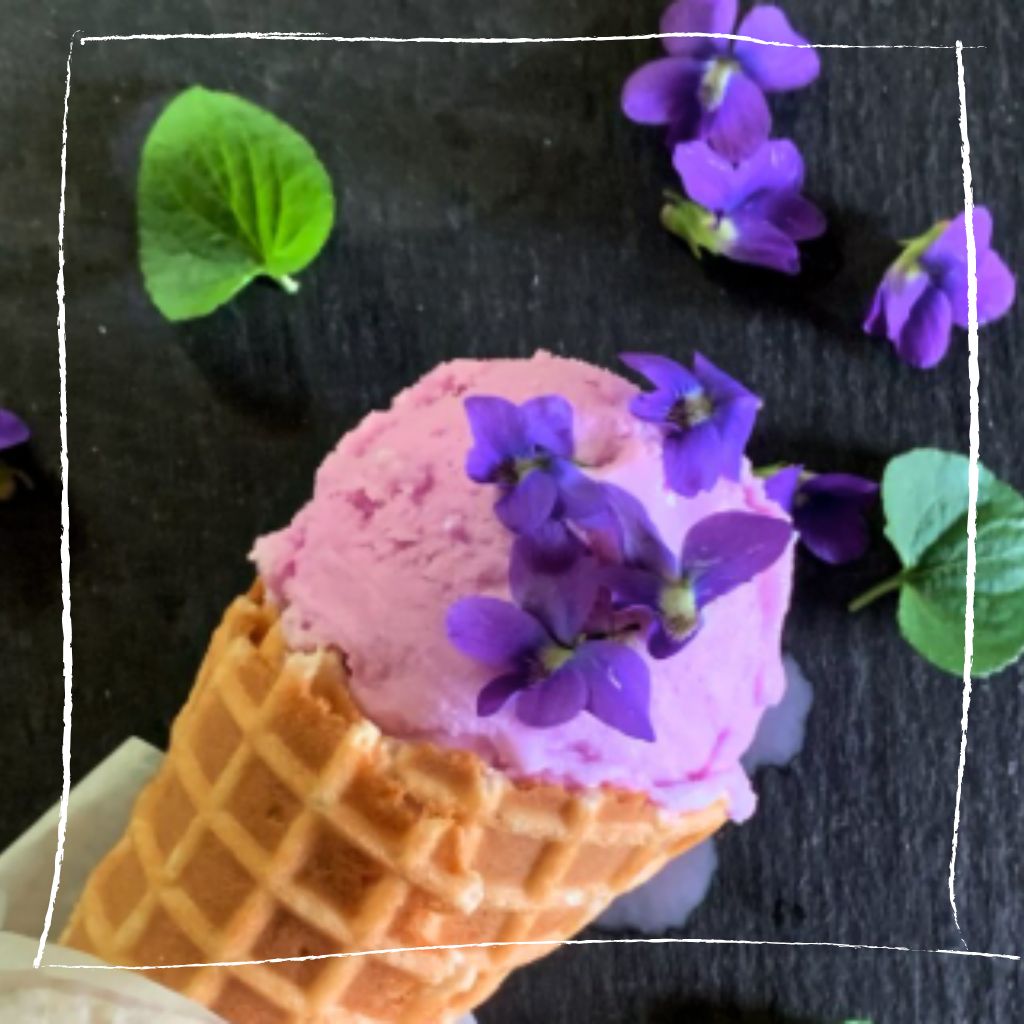Elegantes Ruprechtskraut-Sorbet mit Gurke und Gin-Tonic-Gelee auf weißem Teller