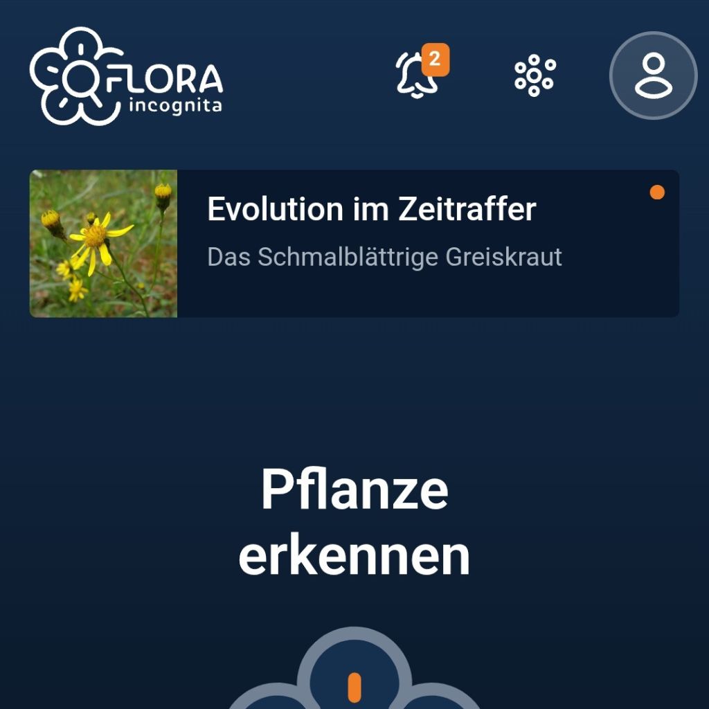 Flora Incognita App Screenshot Benutzeroberfläche