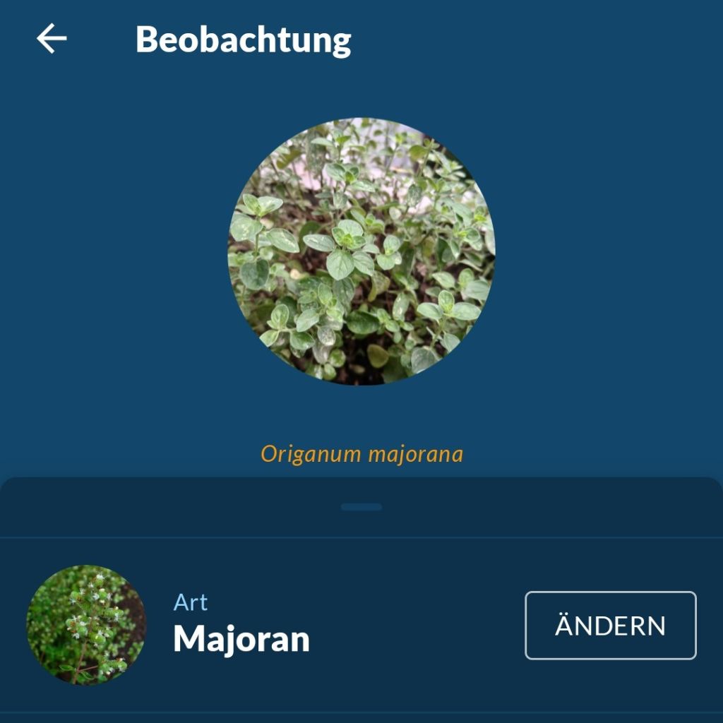 Naturblick App Interface für deutsche Flora