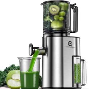 Entsafter für Kräuter – CelerySpec Slow Juicer für Obst, Gemüse und Kräuter