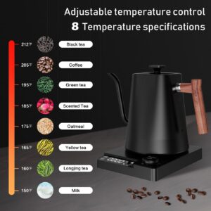 Wasserkocher mit Temperatureinstellung 1 l aus Edelstahl und Glas